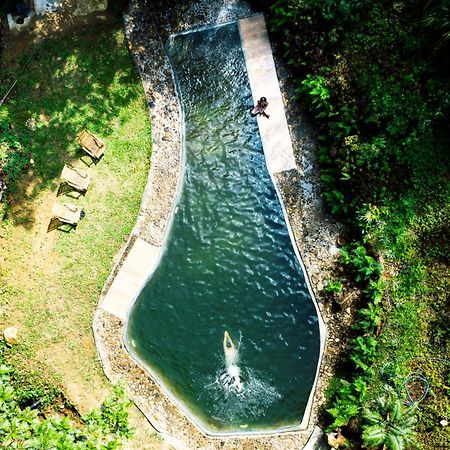 Natural Mystic Sanctuary Deniyaya Dış mekan fotoğraf
