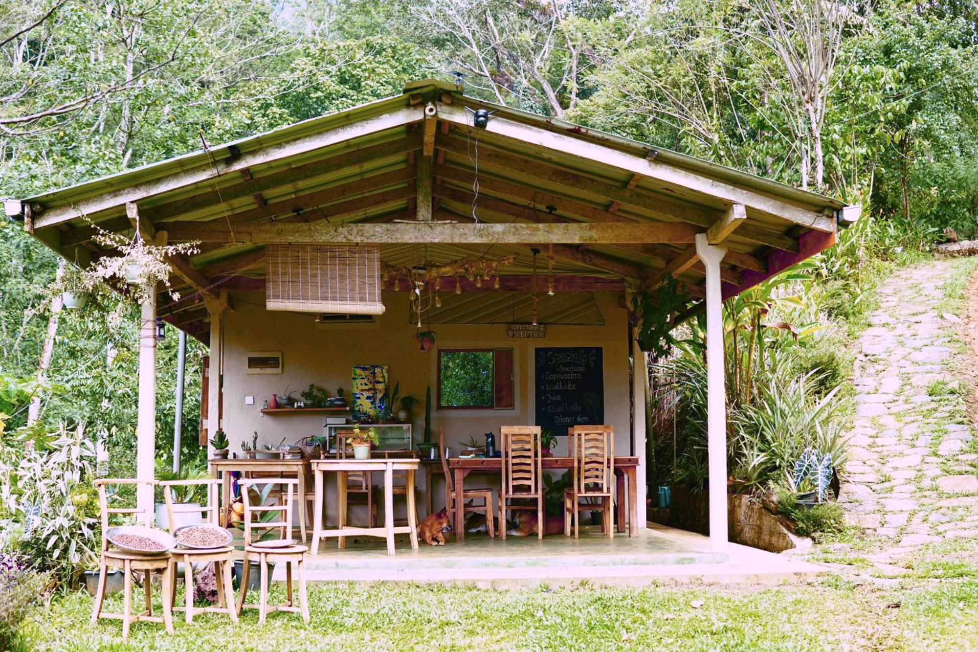 Natural Mystic Sanctuary Deniyaya Dış mekan fotoğraf