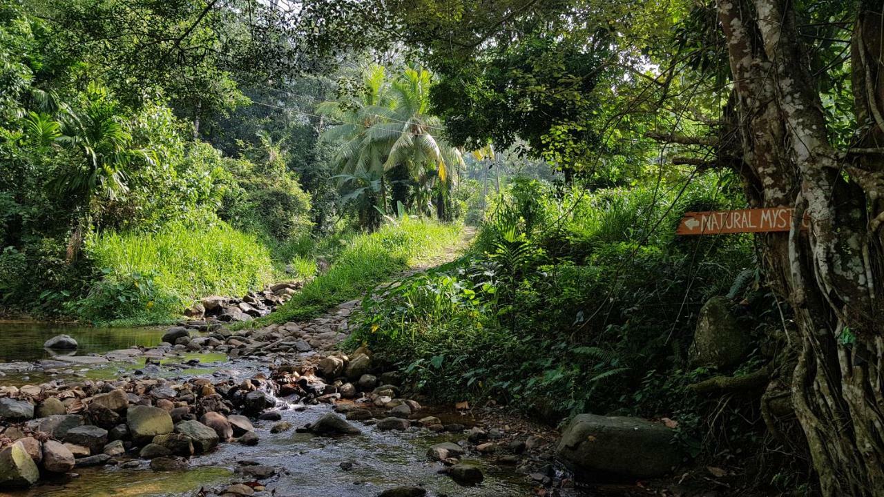 Natural Mystic Sanctuary Deniyaya Dış mekan fotoğraf