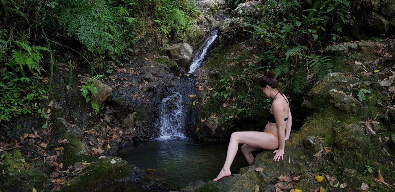 Natural Mystic Sanctuary Deniyaya Dış mekan fotoğraf