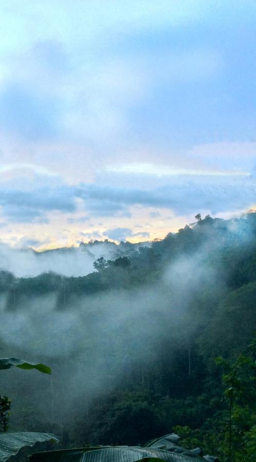 Natural Mystic Sanctuary Deniyaya Dış mekan fotoğraf